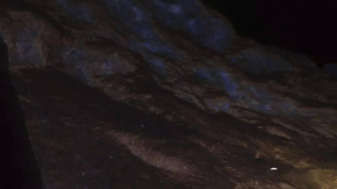 古墓丽影9
